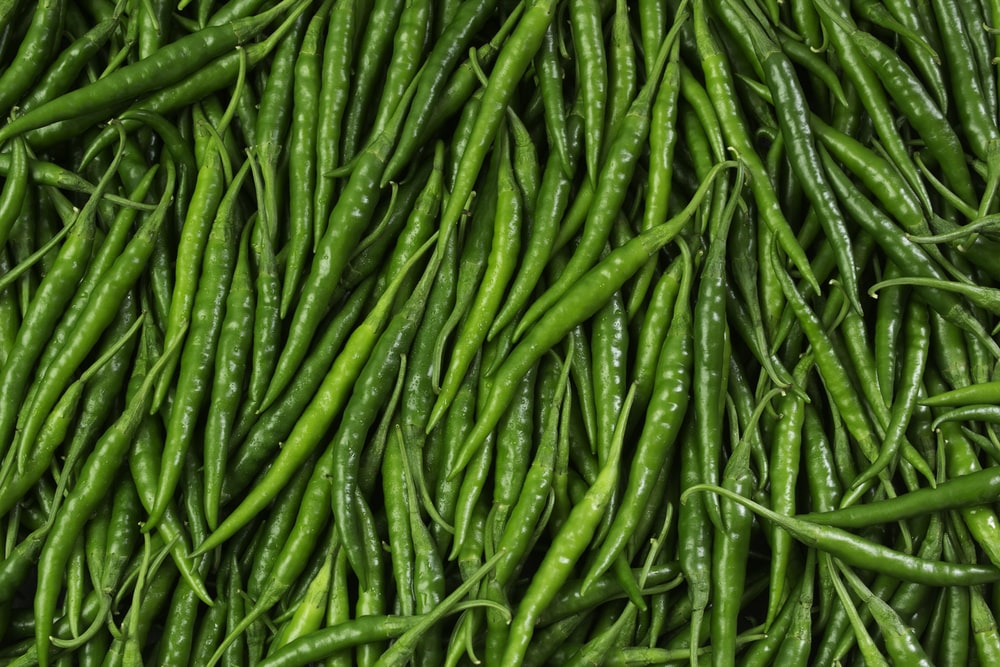 Fresh Green Chilli Export from Pakistan: Wholesale Buyer Guide for Importers