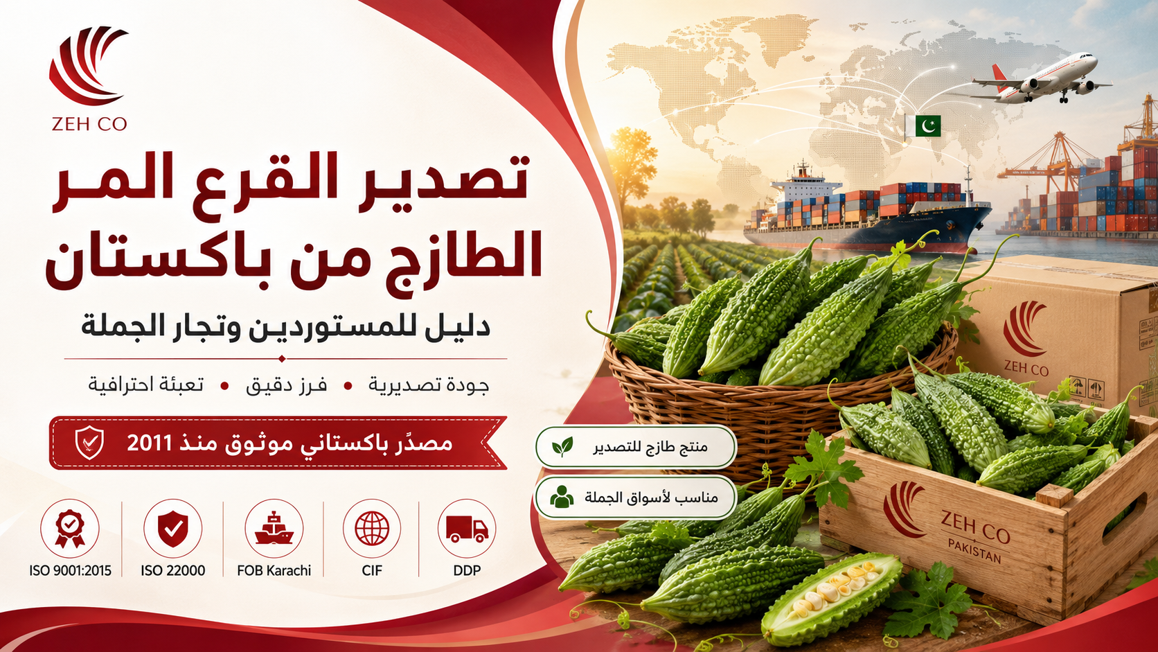 دليل تصدير القرع المر الطازج من باكستان للمستوردين وتجار الجملة
