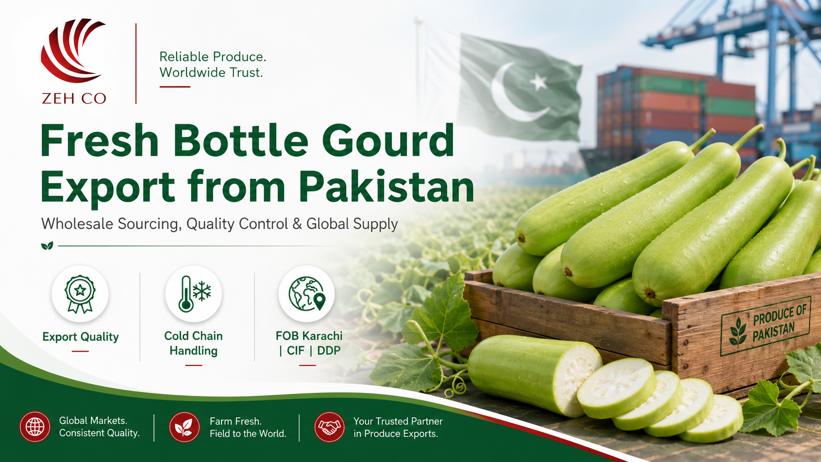 Fresh Bottle Gourd Export from Pakistan: A Wholesale Buyer’s Sourcing and Quality Guide