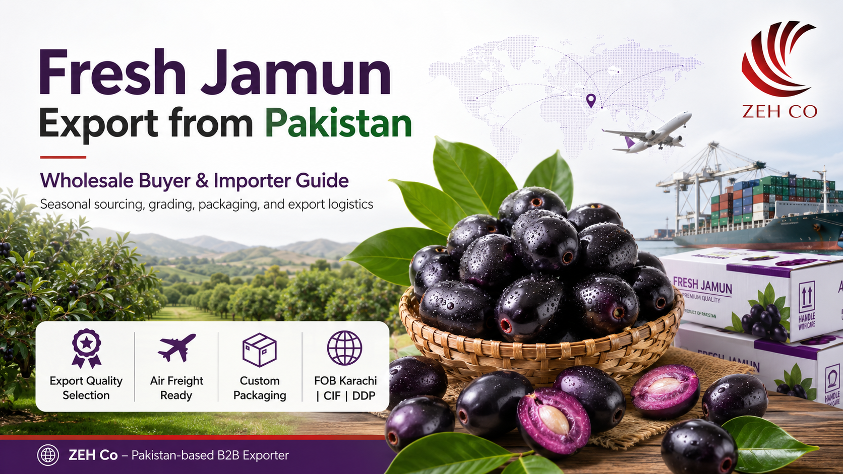 Fresh Jamun Export from Pakistan: Wholesale Buyer and Importer Guide