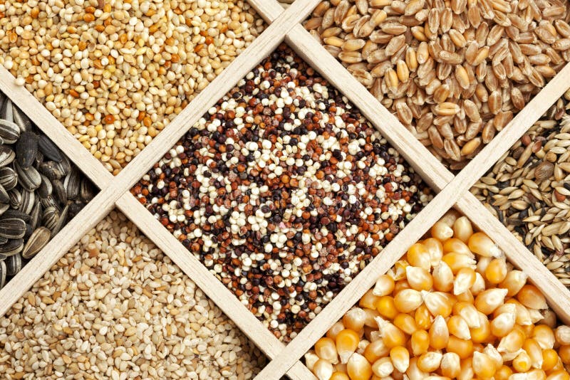 Basmati Rice, Grains & Seeds — ZEH Co International | Leading Export Company in Pakistan | Wholesale B2B Supplier of Agricultural Products, Textiles & Himalayan Salt