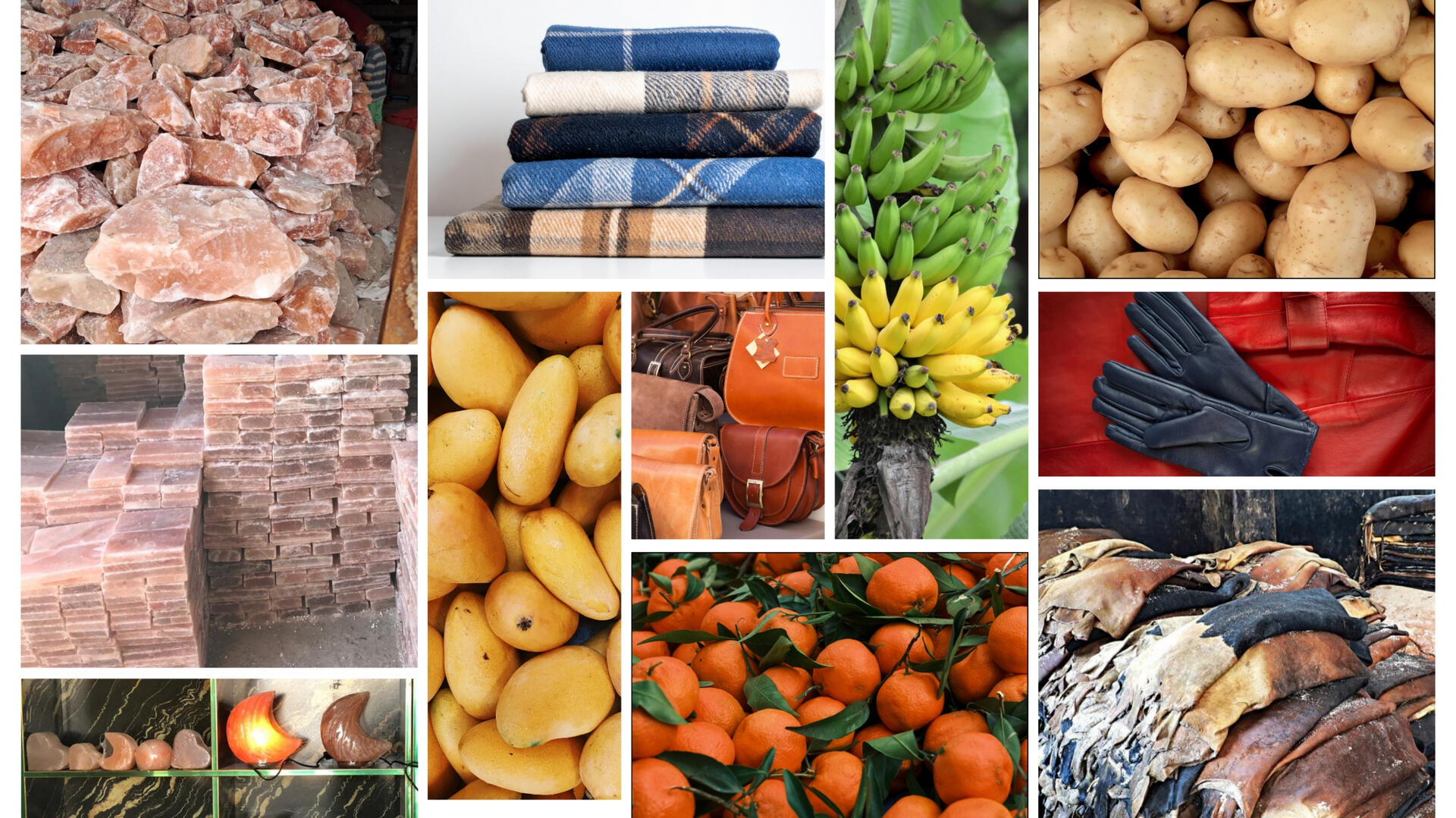 ZEH Co International — Premium Export Products from Pakistan, Global Logistics and B2B Trade